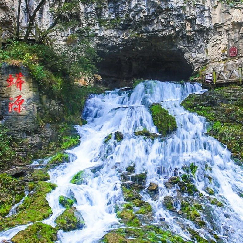 蟒源_副本.jpg